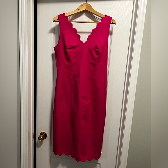 Banana Republic, gorgeous bright pink dress, NWT size 10 - Picture 2 of 8